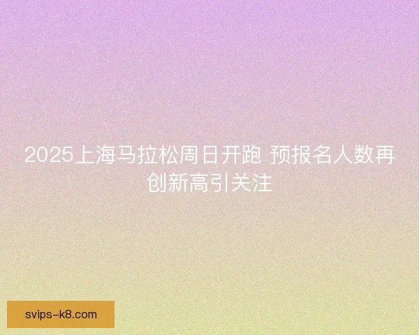 2025上海马拉松周日开跑 预报名人数再创新高引关注